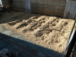 P1000180a.jpg