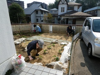 P1000342a.jpg