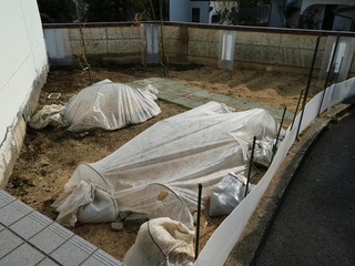 P1000343a.jpg