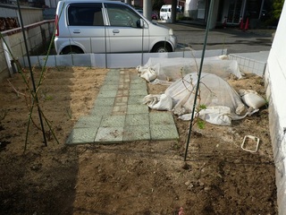 P1000344a.jpg