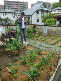 P1000363a.jpg