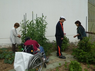P1000482a.jpg