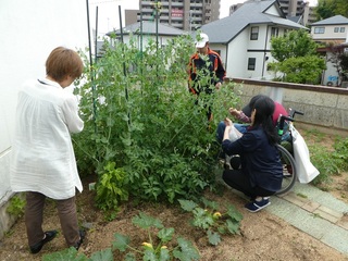 P1000483b.jpg