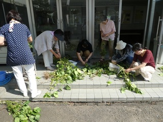 P1000623b.jpg